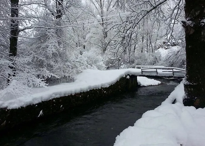 Restaurante Rabocan Beberino